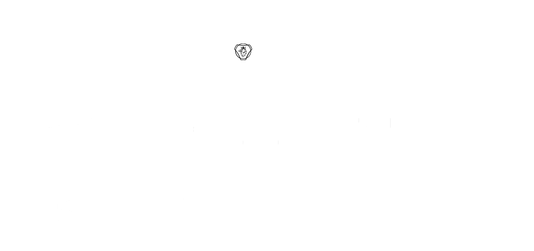 Nossos Parceiros e Clientes